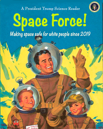 Space Force UPDATE 2019 FLT sml