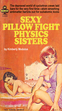sexy pillow fight physics FLT