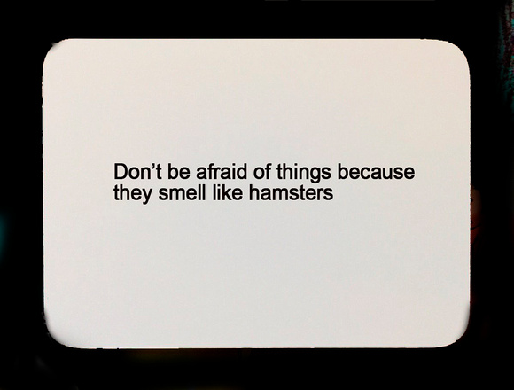hamsters oblique strategy card template FLT