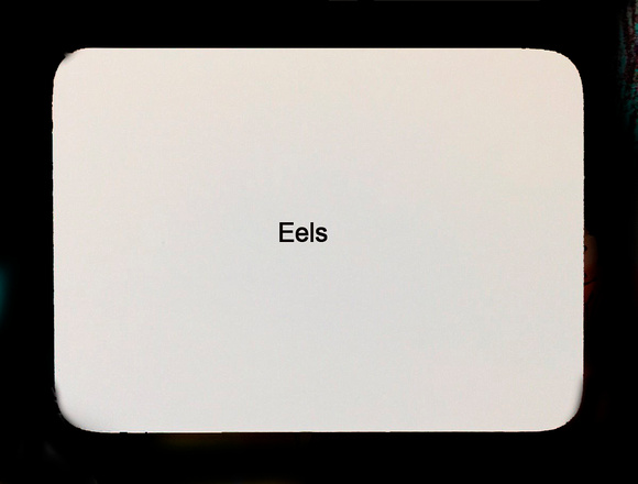 Eels 2 oblique strategy card template FLT